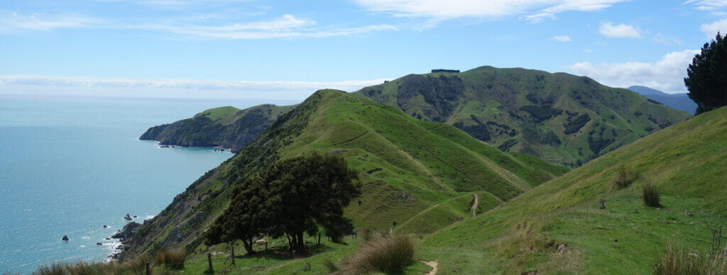 Küste und grüne Hügel unter blauem Himmel, ideal für Wandern und Naturerlebnisse.